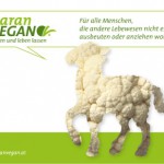 PR Bild Maran Vegan, Werbesujet Schaf