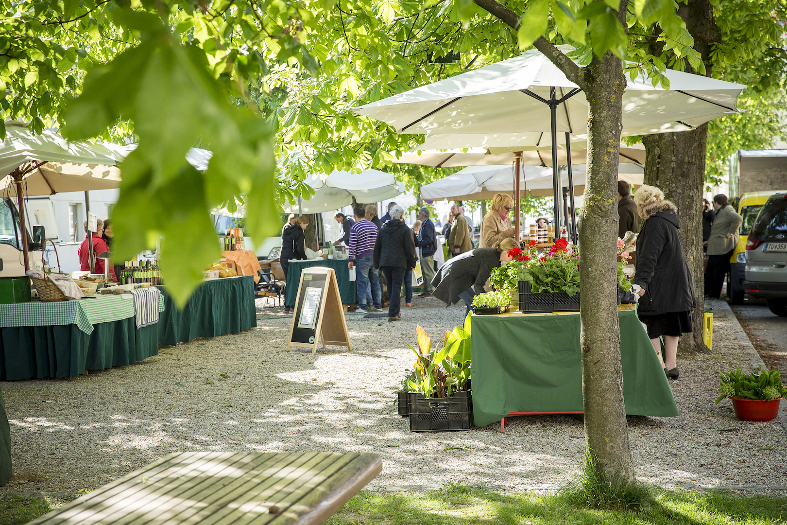 PR Bild Lössfrühling am Wagram Naschmarkt Kirchberg am Wagram © Jürgen Pistracher