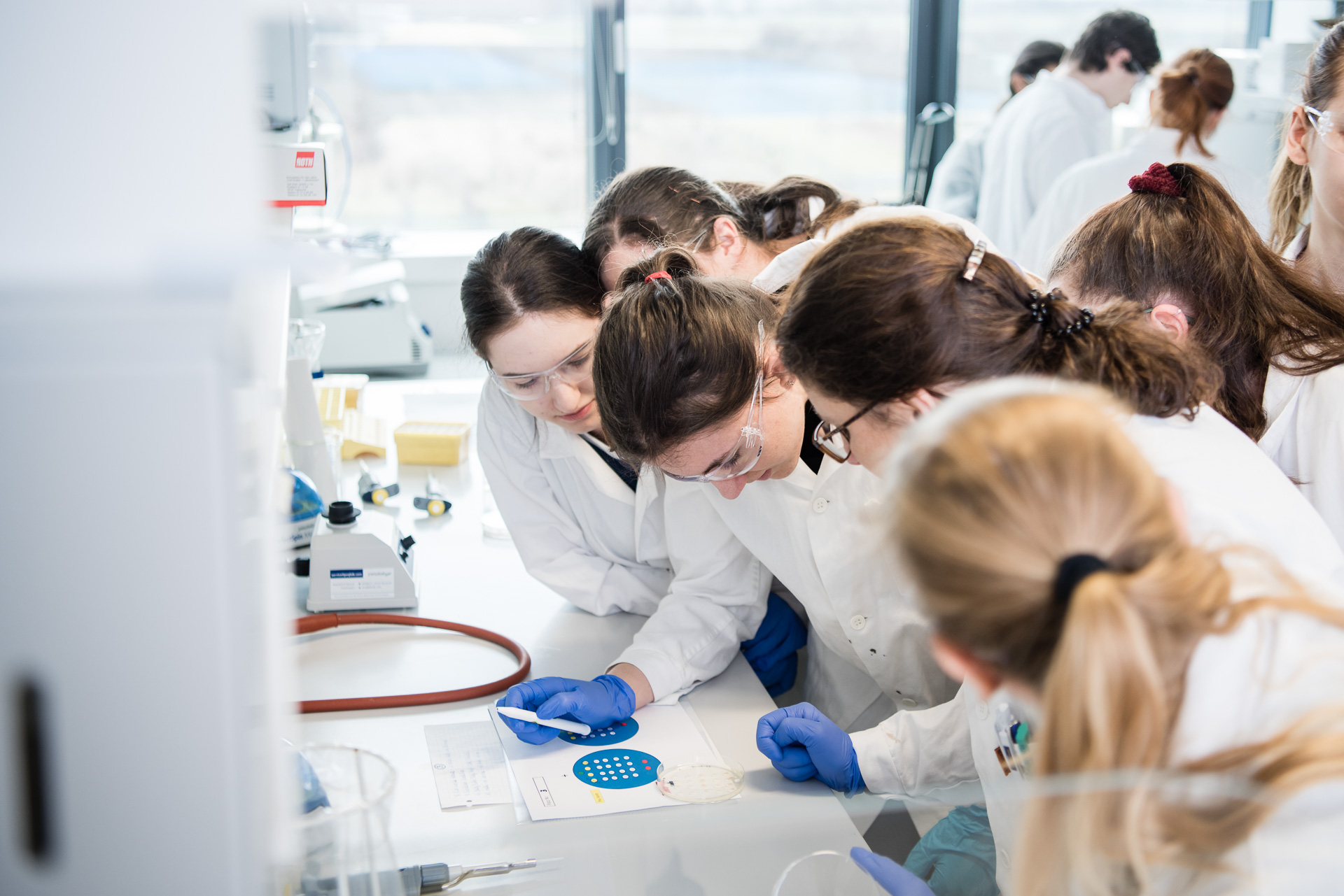 PR Bild NÖ Forschungs- und Bildungsges.m.b.H. (NFB) Science goes School