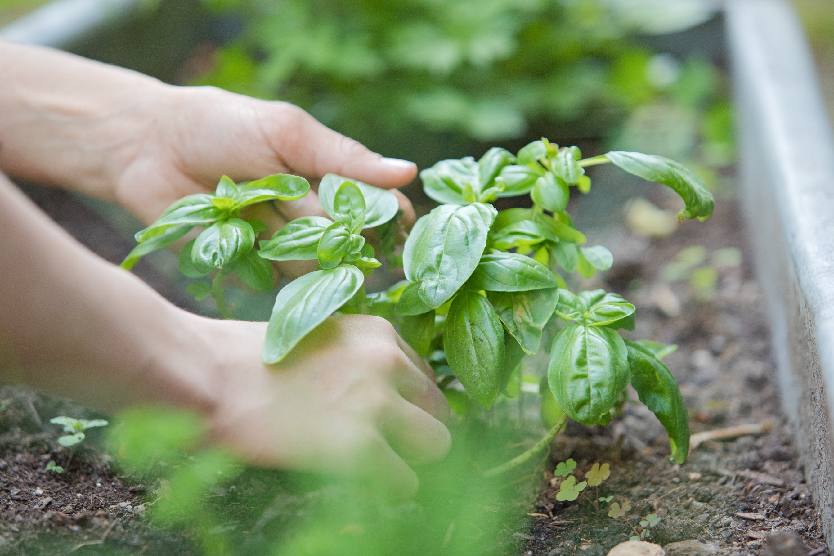 PR Bild Weinviertel Tourismus Bewegung & Natur © Weinviertel Tourismus - Lahofer