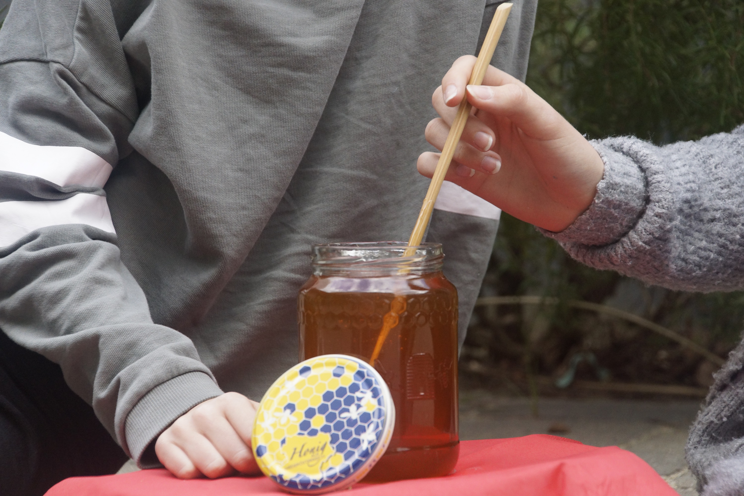 PR Bild Weinviertel Tourismus GmbH Bienen & Honig © Weinviertel Tourismus