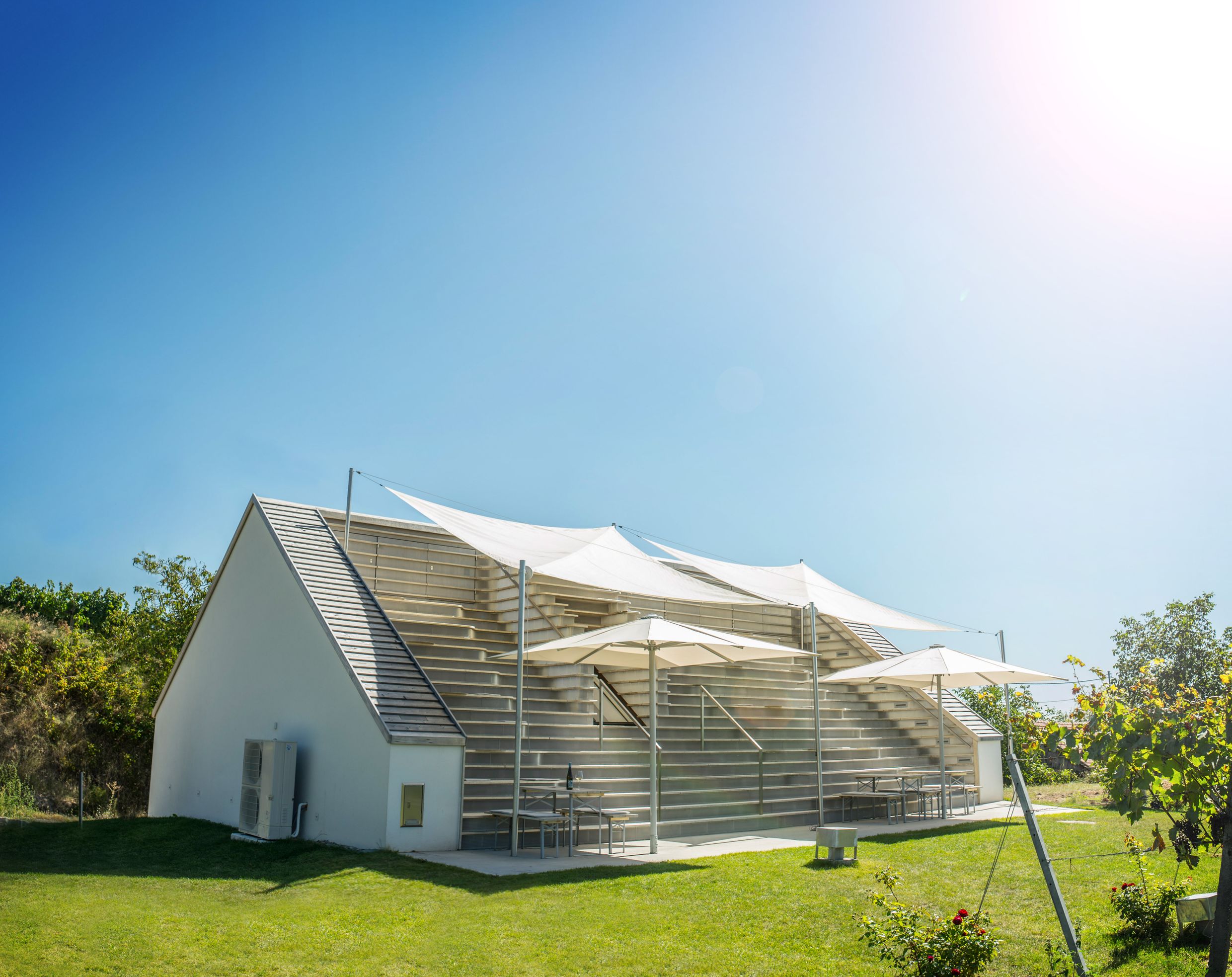 PR Bild Lössfrühling am Wagram Weinblick © ms.foto.group