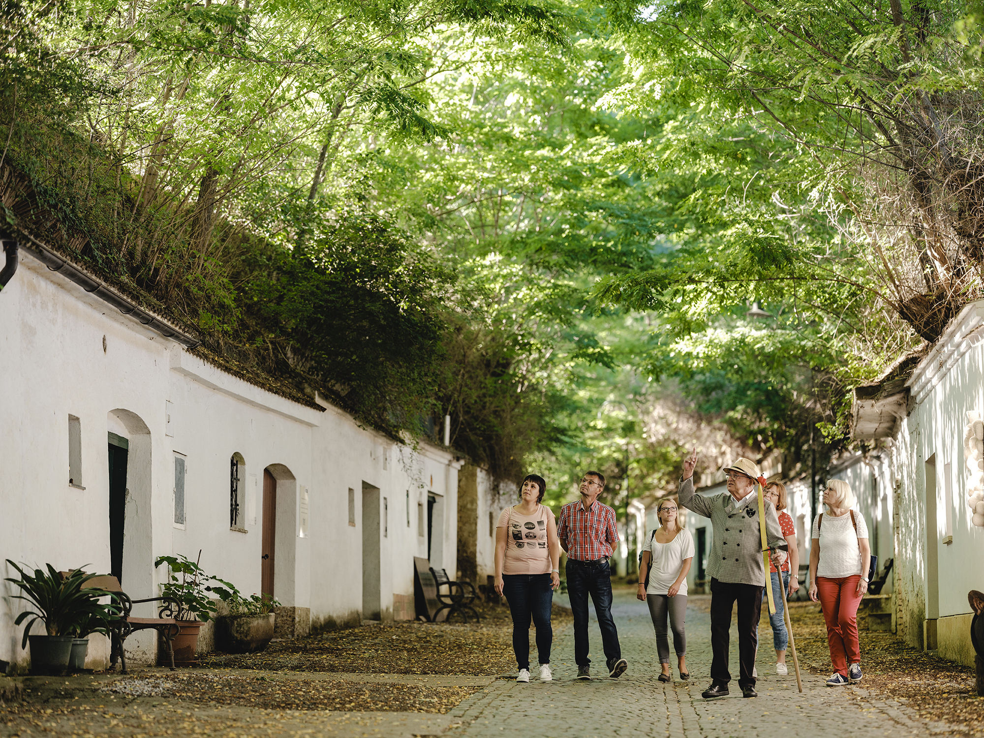 Kellergassen, Kellergassenführung, Poysdorf, Poysdorf Tourismus