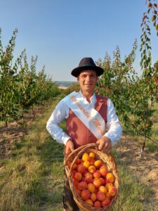 Marillenhoheit Florian Makowsky © Vino Versum Poysdorf Tourismus