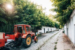 Traktor-Rundfahrt © Niederösterreich Werbung Romeo Felsenreich