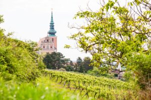 Poysdorf Kirche © Martin Grabmayer