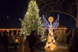 Christbaum © Vino Versum Poysdorf Tourismus