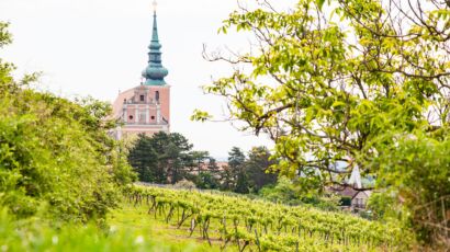 Poysdorf Kirche © Martin Grabmayer