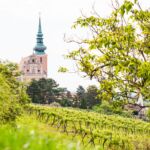 Weinstadt Poysdorf feiert Saisonstart am 29. März