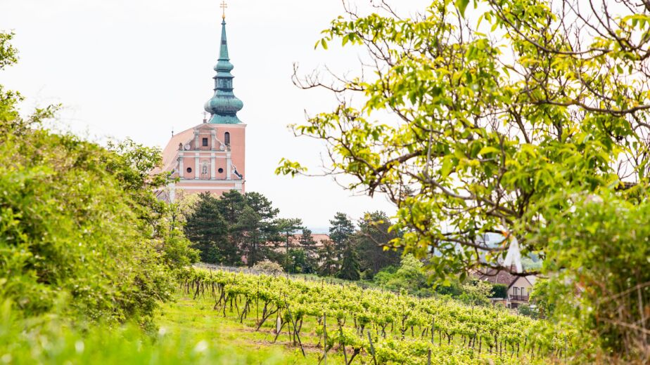 Poysdorf Kirche © Martin Grabmayer