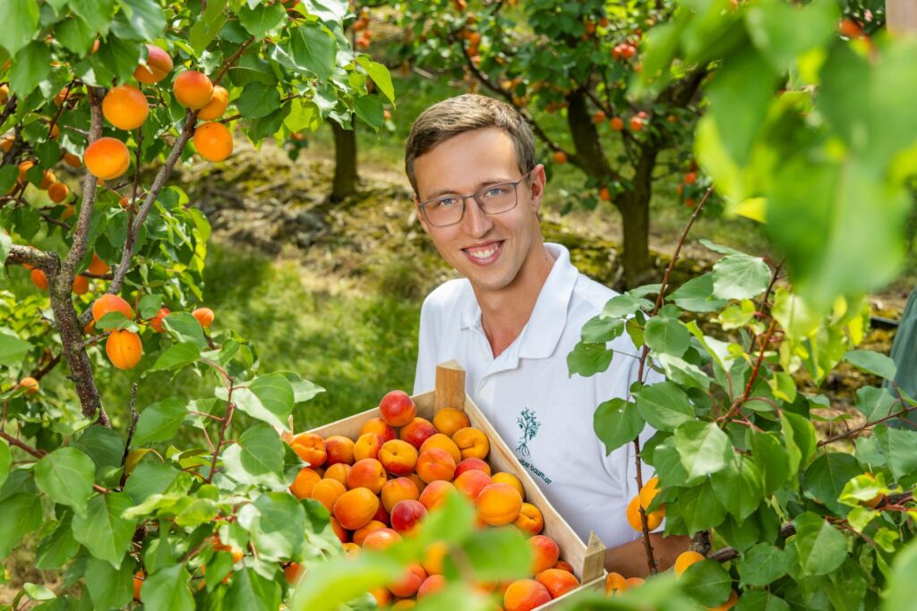 Dominik Schreiber © Semrad