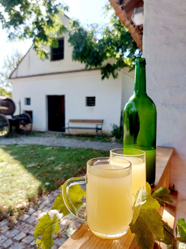 Sturm in Poysdorf © Vino Versum Poysdorf - Rommer